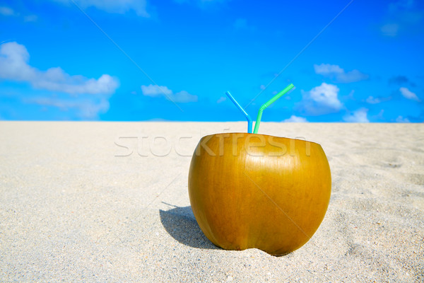 Майами юг пляж кокосового Флорида пить Сток-фото © lunamarina