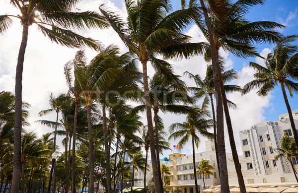 Miami strand oceaan art deco Florida wijk Stockfoto © lunamarina