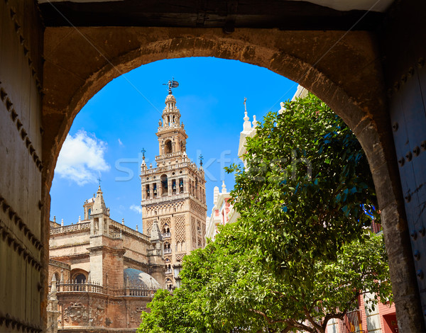 Seville cathedral Giralda tower from Alcazar Stock photo © lunamarina