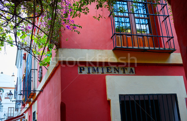 Seville Calle Pimienta street near Juderia Stock photo © lunamarina