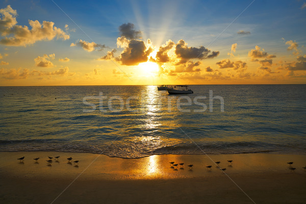 Riviera Maya sunrise beach in Mexico  Stock photo © lunamarina
