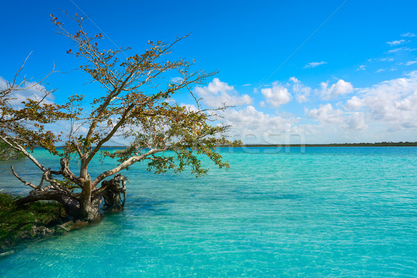 Foto stock: México · praia · céu · água · fundo · verão