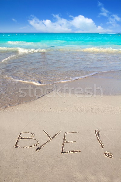 Bye zaklęcie napisany piasek na plaży tropikalnych Karaibów Zdjęcia stock © lunamarina