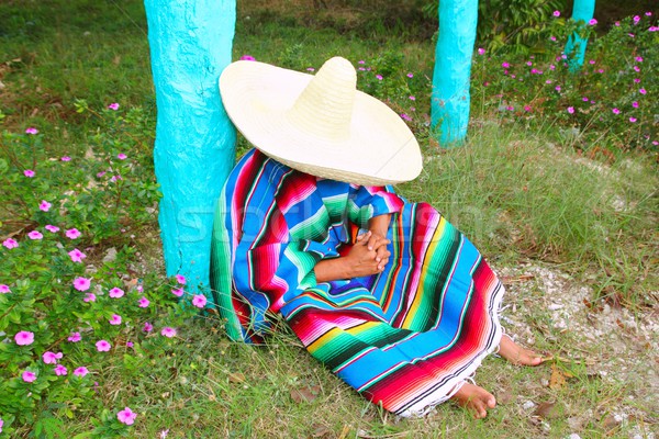 Mexican leniwy sombrero hat człowiek drzemka Zdjęcia stock © lunamarina