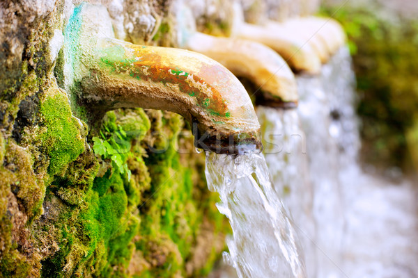 Sárgaréz szökőkút víz forrás tavasz zöld Stock fotó © lunamarina