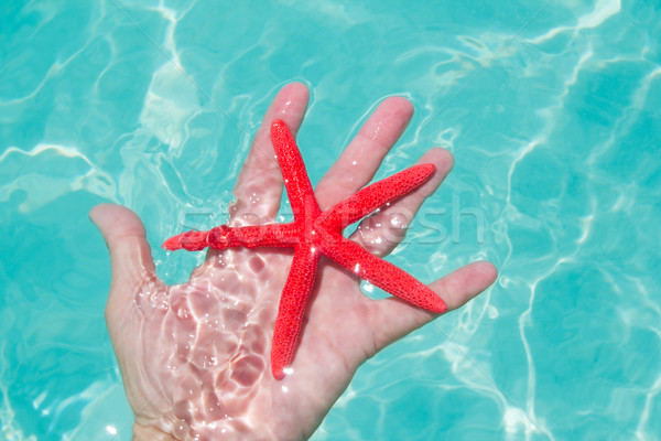 Red starfish in human hand floating Stock photo © lunamarina