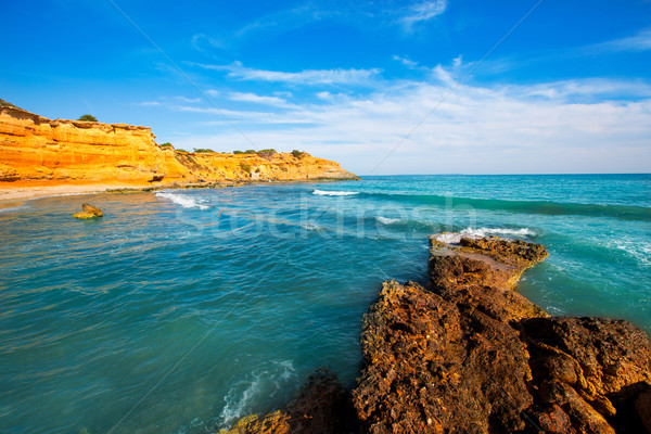 Ibiza island Platja Es bol Nou beach Ses Salines Stock photo © lunamarina