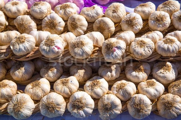 Garlic bunches stacked in a row Stock photo © lunamarina