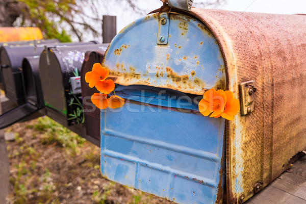 California poppy grunge mailboxes along Pacific Highway Route 1 Stock photo © lunamarina