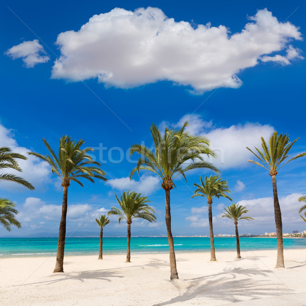 Strand majorca hemel water natuur landschap Stockfoto © lunamarina