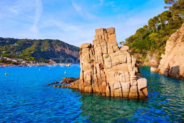 Aigua Blava beach Cala Begur Girona at Catalonia Stock photo © lunamarina