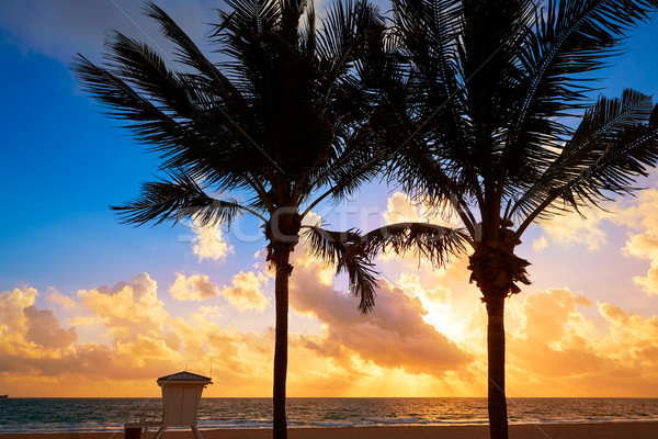 Fort lauderdale spiaggia sunrise Florida mattina USA Foto d'archivio © lunamarina