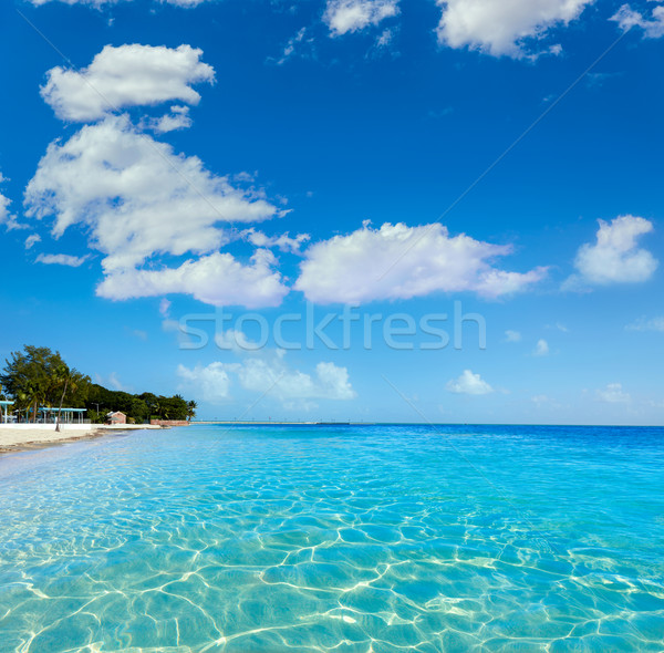 Key west florida beach Clearence S Higgs Stock photo © lunamarina