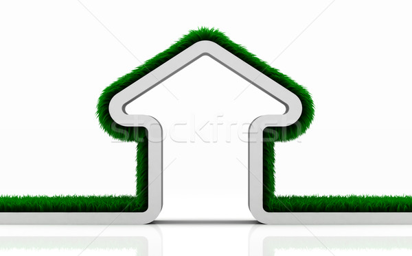Eco gras huis witte gebouw bouw Stockfoto © Lupen