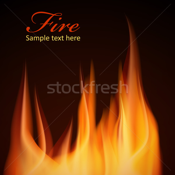 Tűz terv jpg illustrator eps10 vektor Stock fotó © Luppload