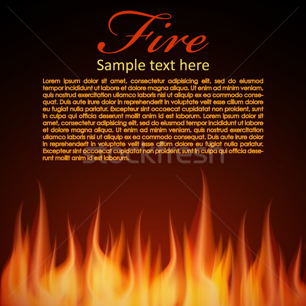 Fire background for your Design Stock photo © Luppload