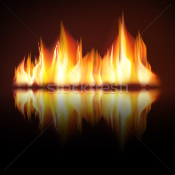 Burning fire flame on black background Stock photo © Luppload