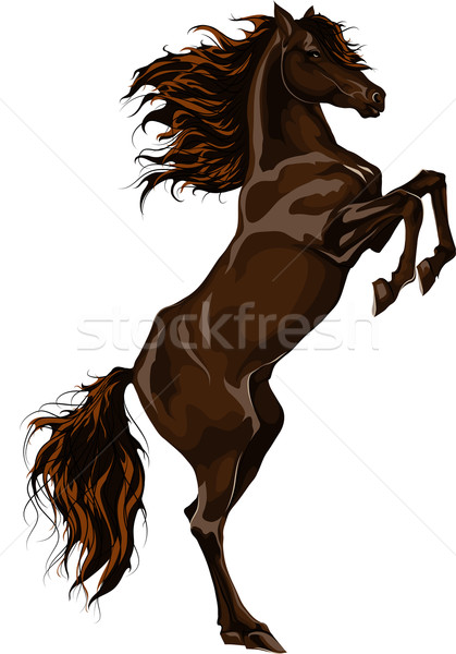 Stockfoto: Paard · donkere · vrijheid · stand · vector