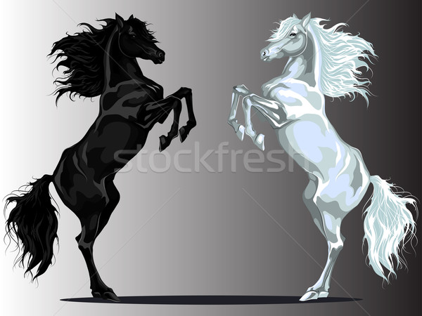 Jogo de dois cavalos imagem de stock. Imagem de preto - 48110871