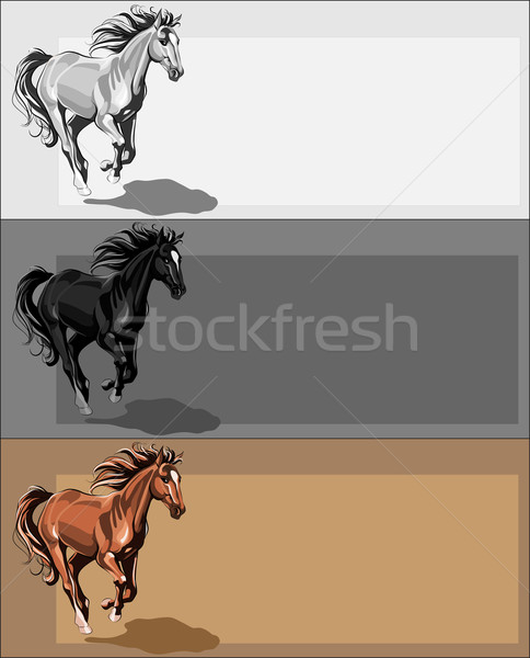 Banners with running horse Stock photo © LVJONOK