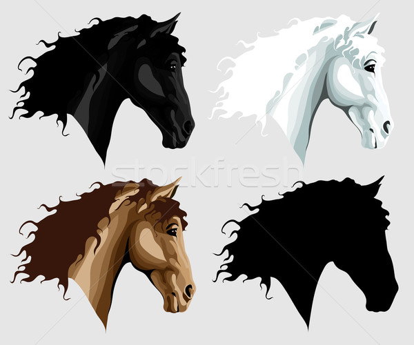 Négy lovak vektor kép három különböző Stock fotó © LVJONOK