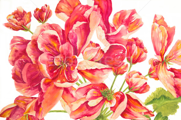 Rood rooskleurig rel bloemen schilderij Stockfoto © LynneAlbright