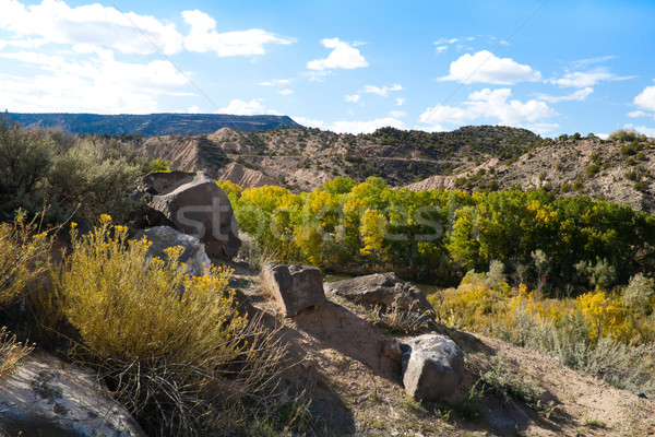 Rocky New Mexico Vista Stock photo © LynneAlbright