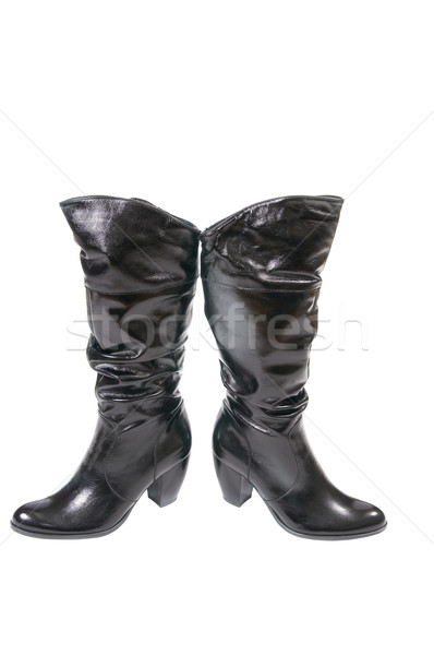 Modern wrinkled winter boots for women on a white. Stock photo © lypnyk2