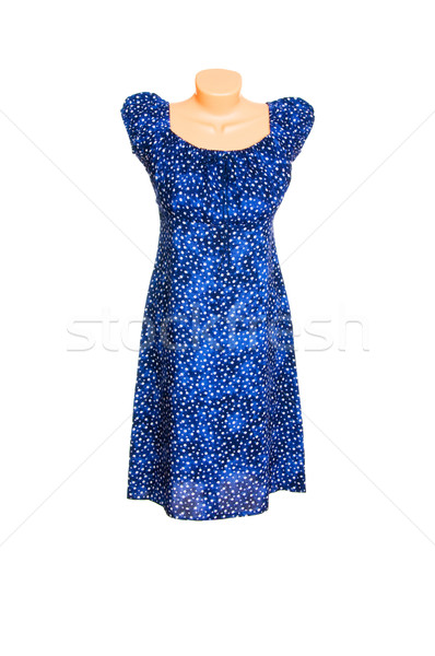 Excelent rochie alb albastru lux izolat Imagine de stoc © lypnyk2