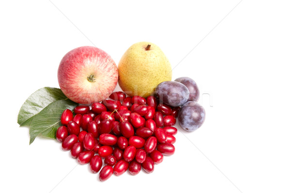 Splendid autumn fruits on a white. Stock photo © lypnyk2