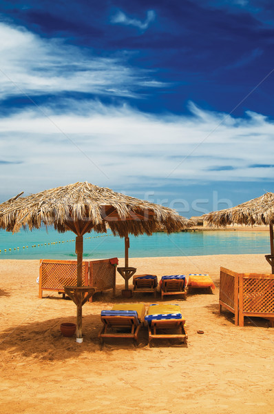 Exótico praia blue sky maravilhoso praia tropical Foto stock © lypnyk2