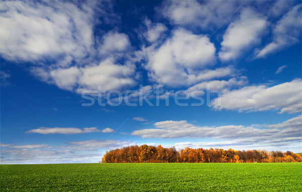 Countryside by  later autumn. Stock photo © lypnyk2