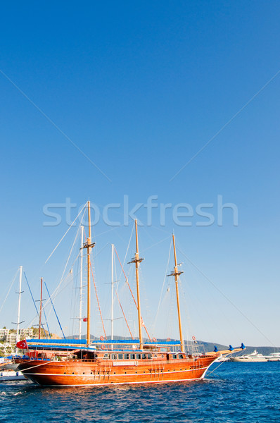 Beautiful yachts at coast Aegean sea. Stock photo © lypnyk2