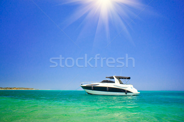 Small luxurious powerboat. Stock photo © lypnyk2