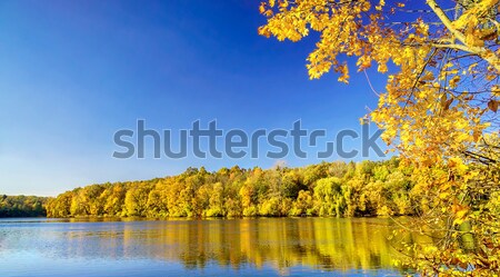 Magic fall over the quiet pond. Stock photo © lypnyk2