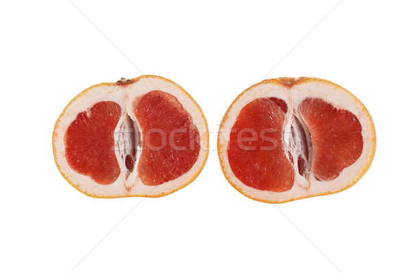 Piese suculent grapefruit alb doua izolat Imagine de stoc © lypnyk2
