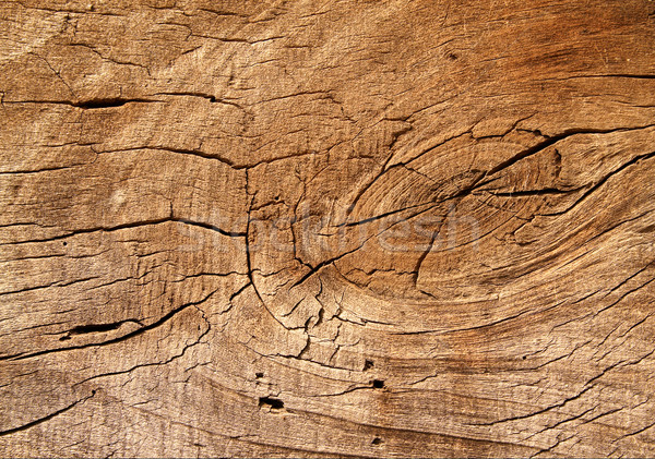 Brown old cracked board. Stock photo © lypnyk2