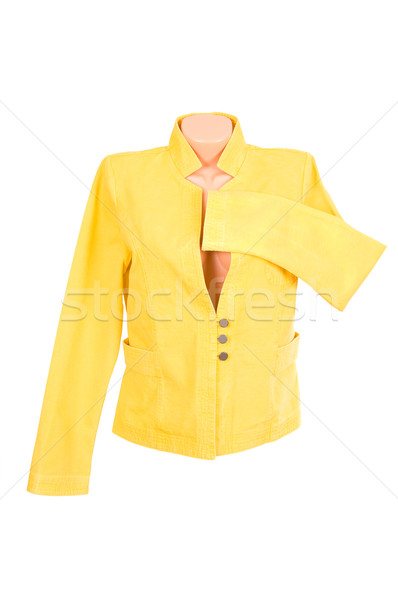 Classy stylish jacket on a white. Stock photo © lypnyk2