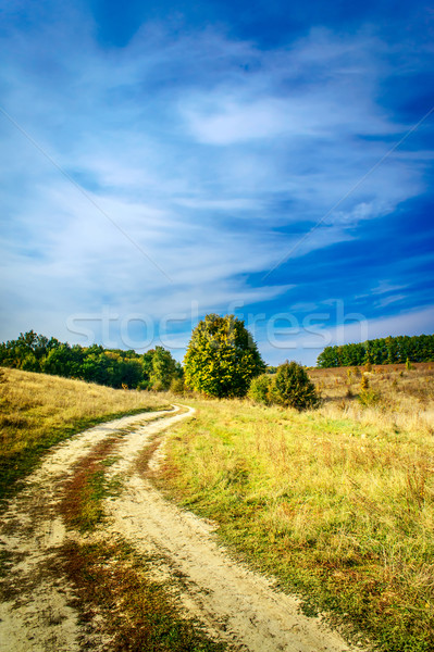 Autumnal view of wonderful field, trees and blue sky. Stock photo © lypnyk2