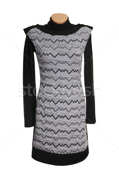 Chic Luxus grau Kleid modernen stylish Stock foto © lypnyk2