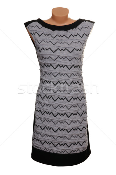 Chic Luxus grau Kleid modernen stylish Stock foto © lypnyk2