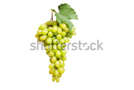 Stockfoto: Smakelijk · druif · witte · Geel · bladeren