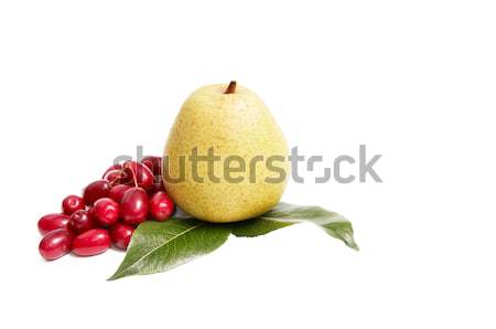 Ripe,fresh autumn fruits on a white. Stock photo © lypnyk2