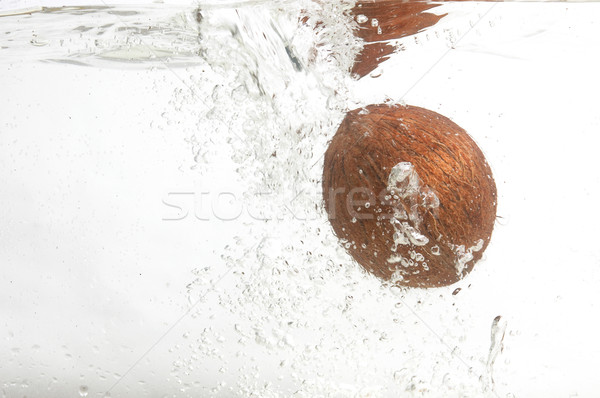 Sozinho desgrenhado coco água água doce espaço Foto stock © lypnyk2