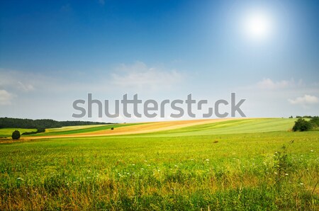 ストックフォト: 夏 · 風景 · 穏やかな · 草原 · 素晴らしい · 青空