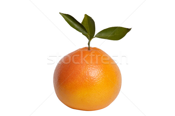 Stock photo: Orange and leaves on a white background.