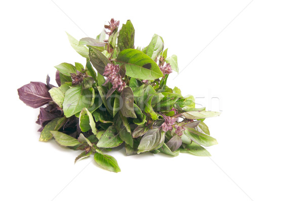 Stock photo: Fragrant  basil on a white.