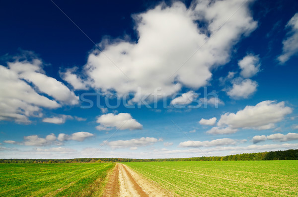 Magnificent cumulus clouds  and autumn field. Stock photo © lypnyk2