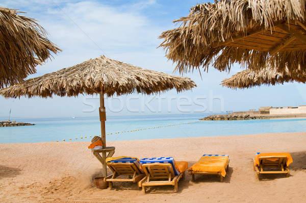 Wonderful solar beach in the Egypt. Stock photo © lypnyk2