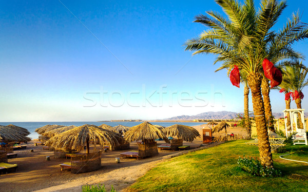 Plajă Egipt gol vizitatori Imagine de stoc © lypnyk2